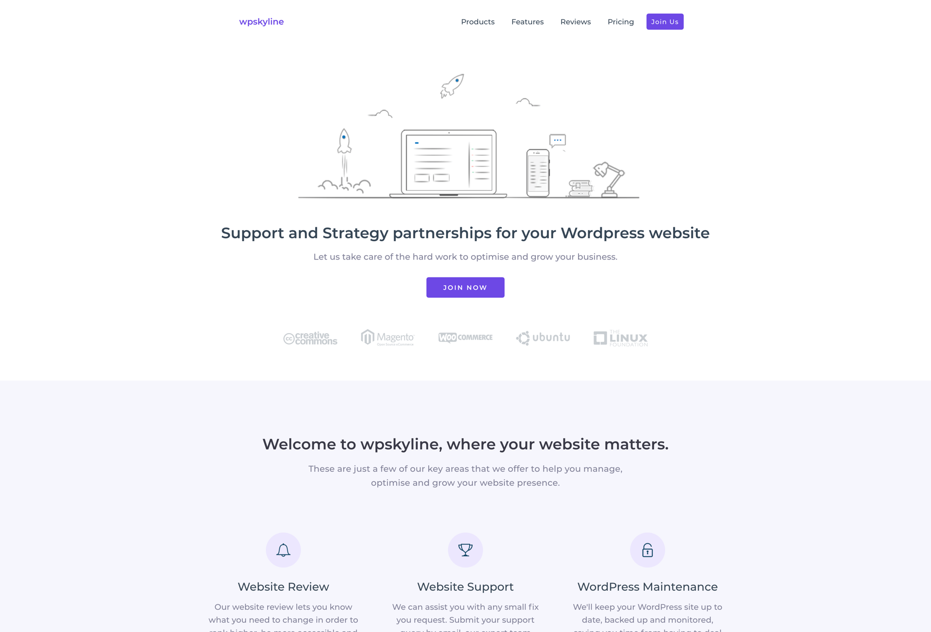 WP Skyline website
